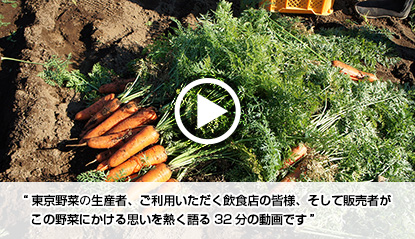 東京野菜の生産者、ご利用いただく飲食店の皆様、そして販売者がこの野菜にかける思いを熱く語る32分の動画です