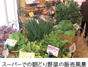 スーパーでの朝どり野菜の販売風景